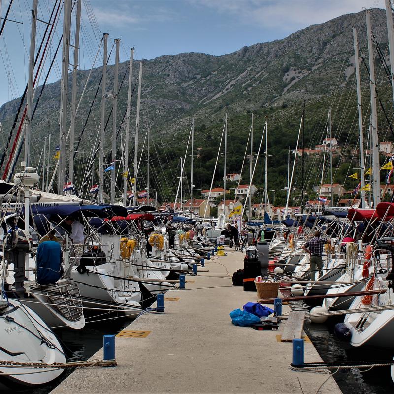 fotogallerie